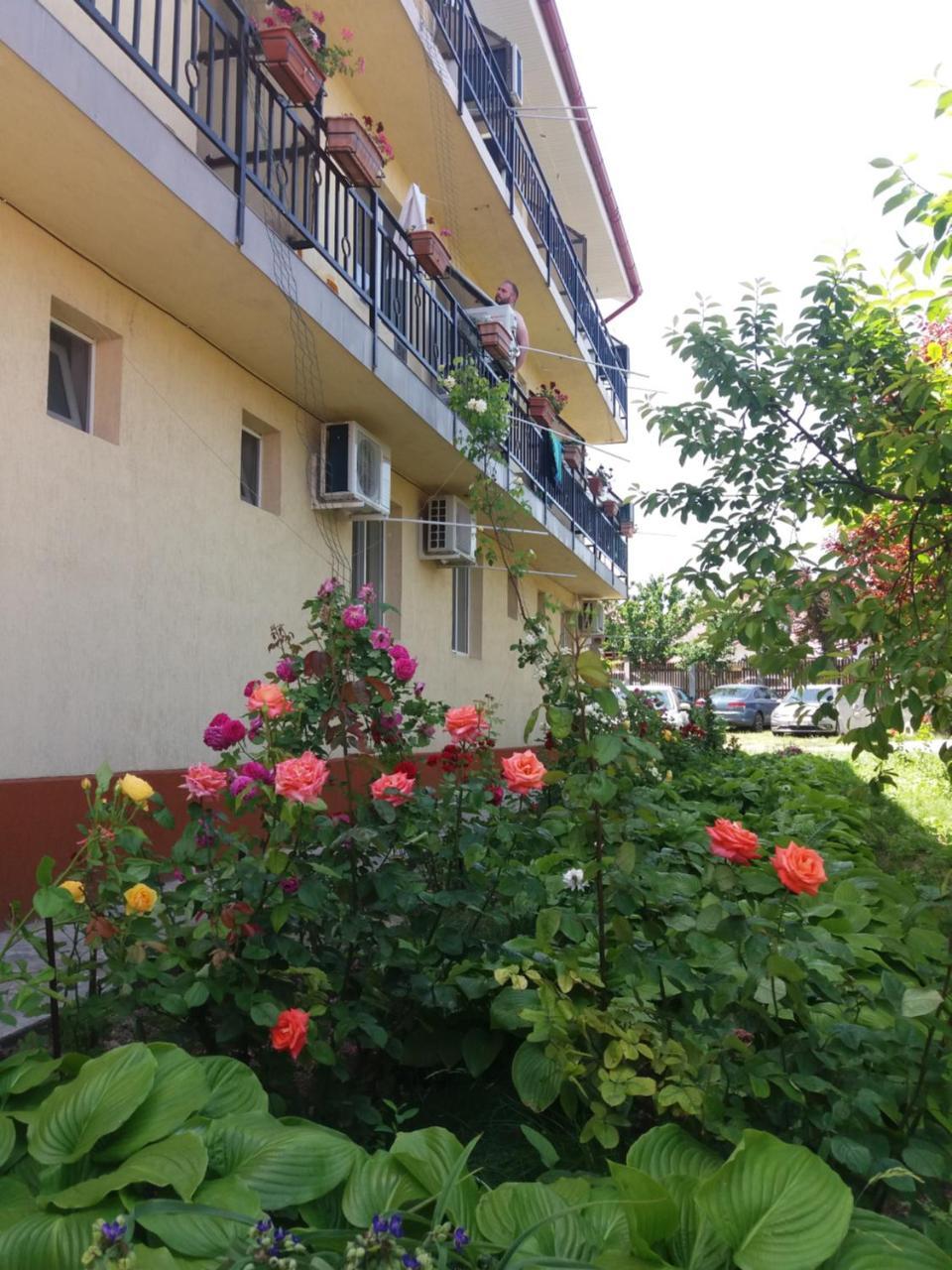 Vila Albatros Vama Veche Dış mekan fotoğraf